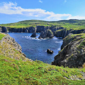 Kinh nghiệm Workaway tuyệt vời tại Newfoundland, Canada