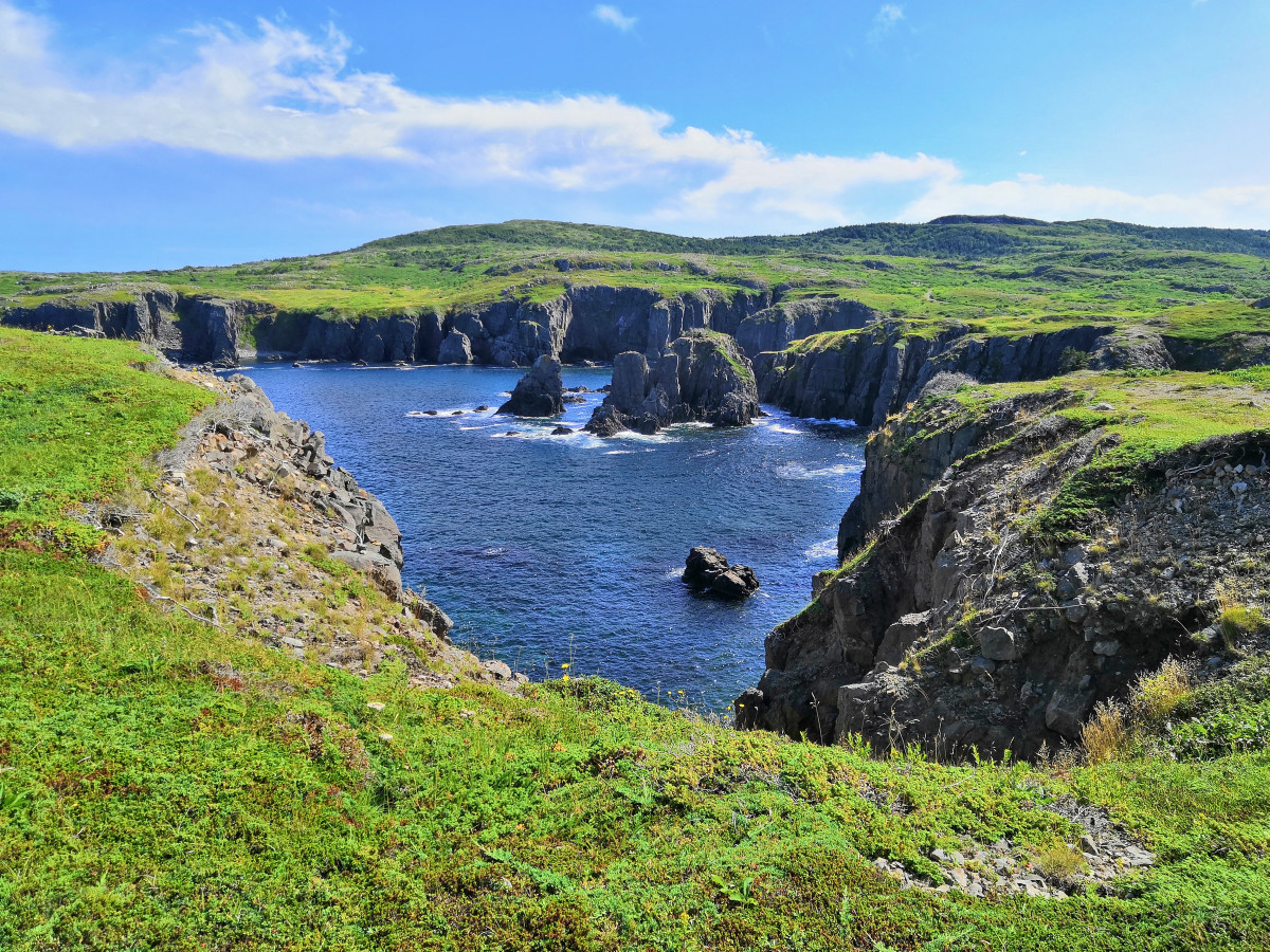 Kinh nghiệm Workaway tuyệt vời tại Newfoundland, Canada