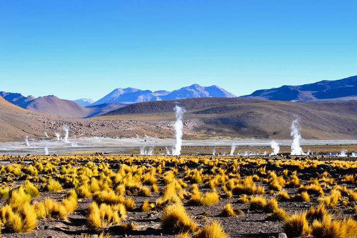 Mạch nước phun ở sa mạc Atacama