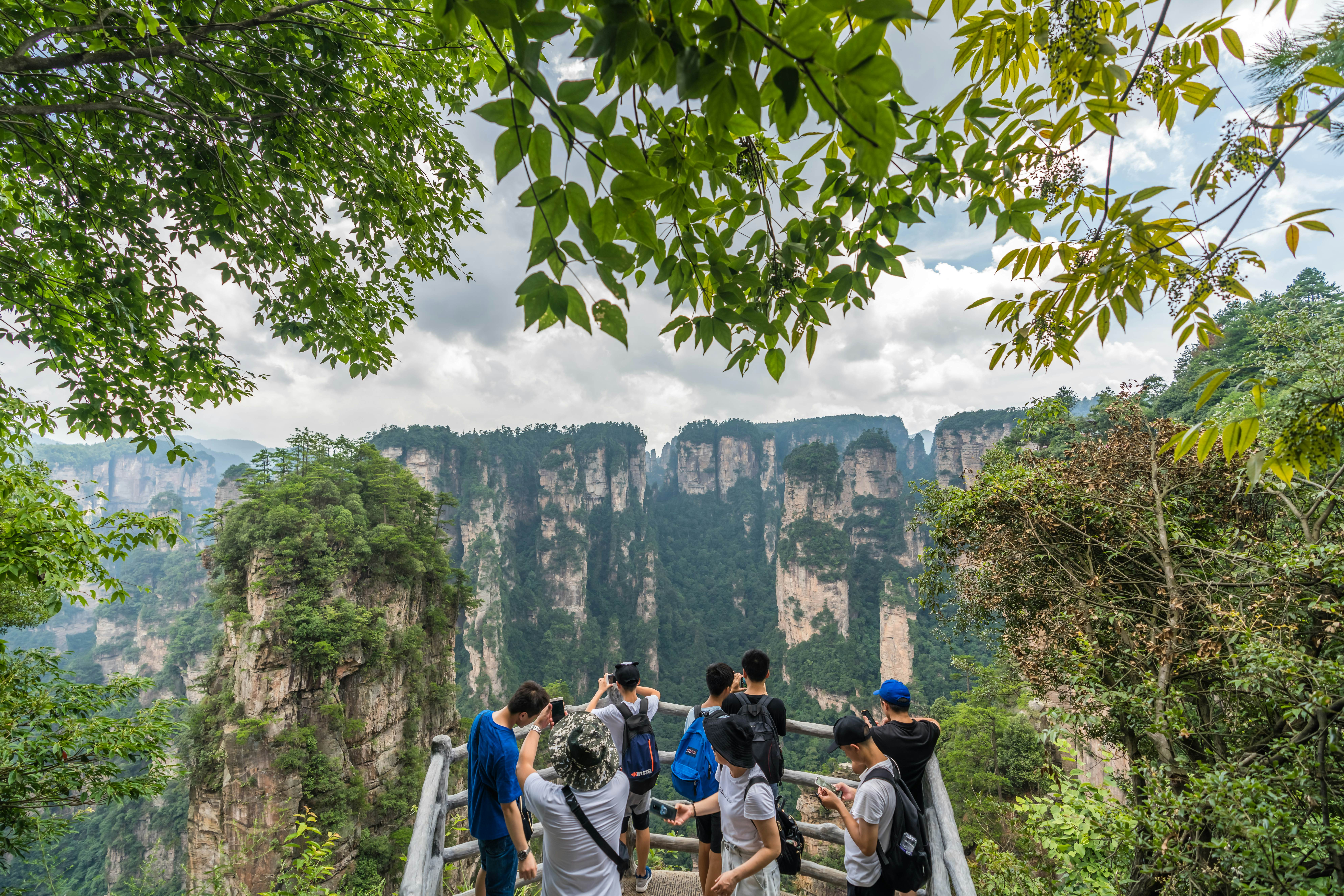 Trương Gia Giới