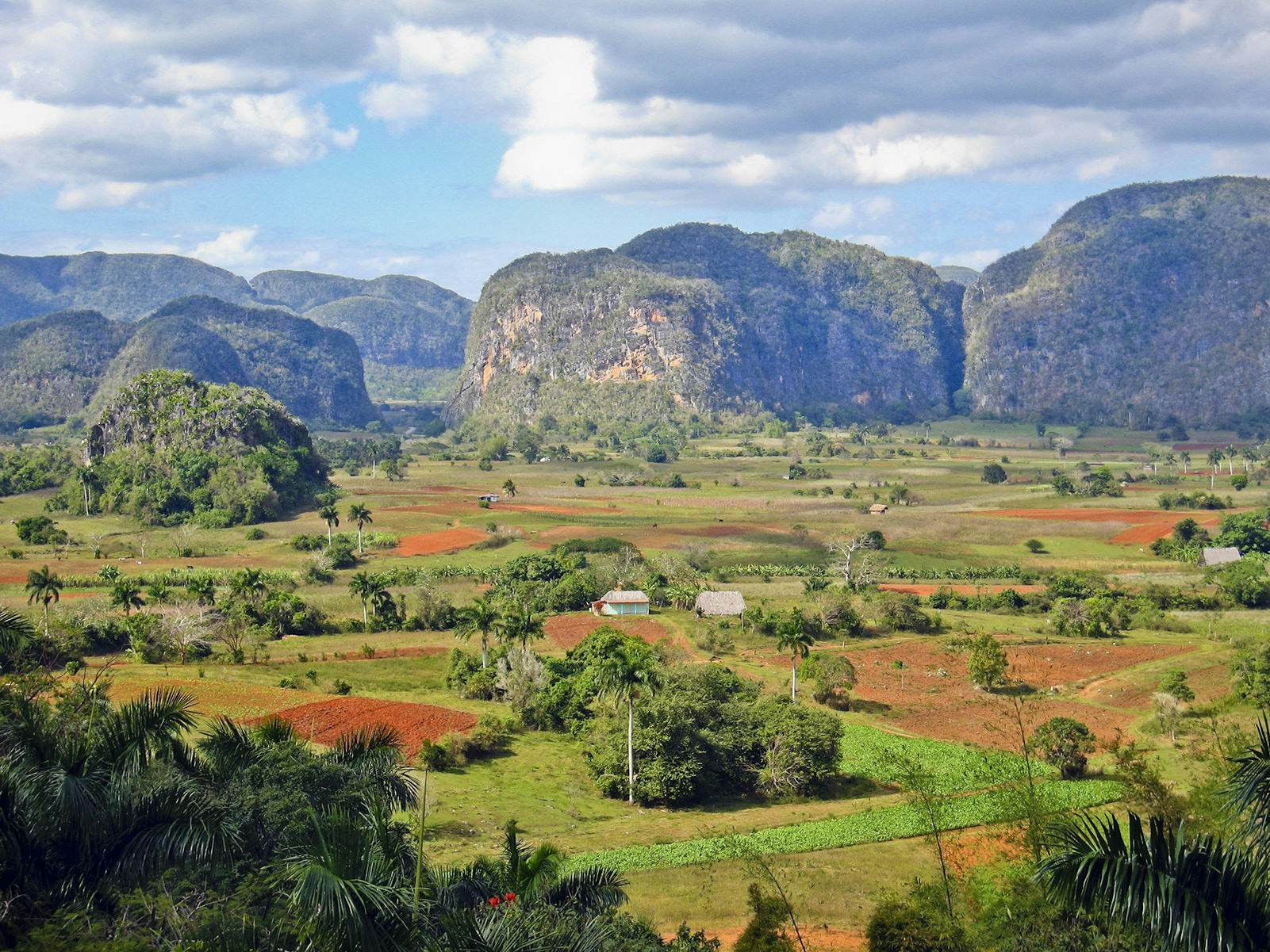 Những ngọn đồi đá vôi ở Valle de Viñales ở Cuba nhô lên trên các trang trại thuốc lá, với những cánh đồng xanh xen kẽ với những mảnh đất màu đỏ