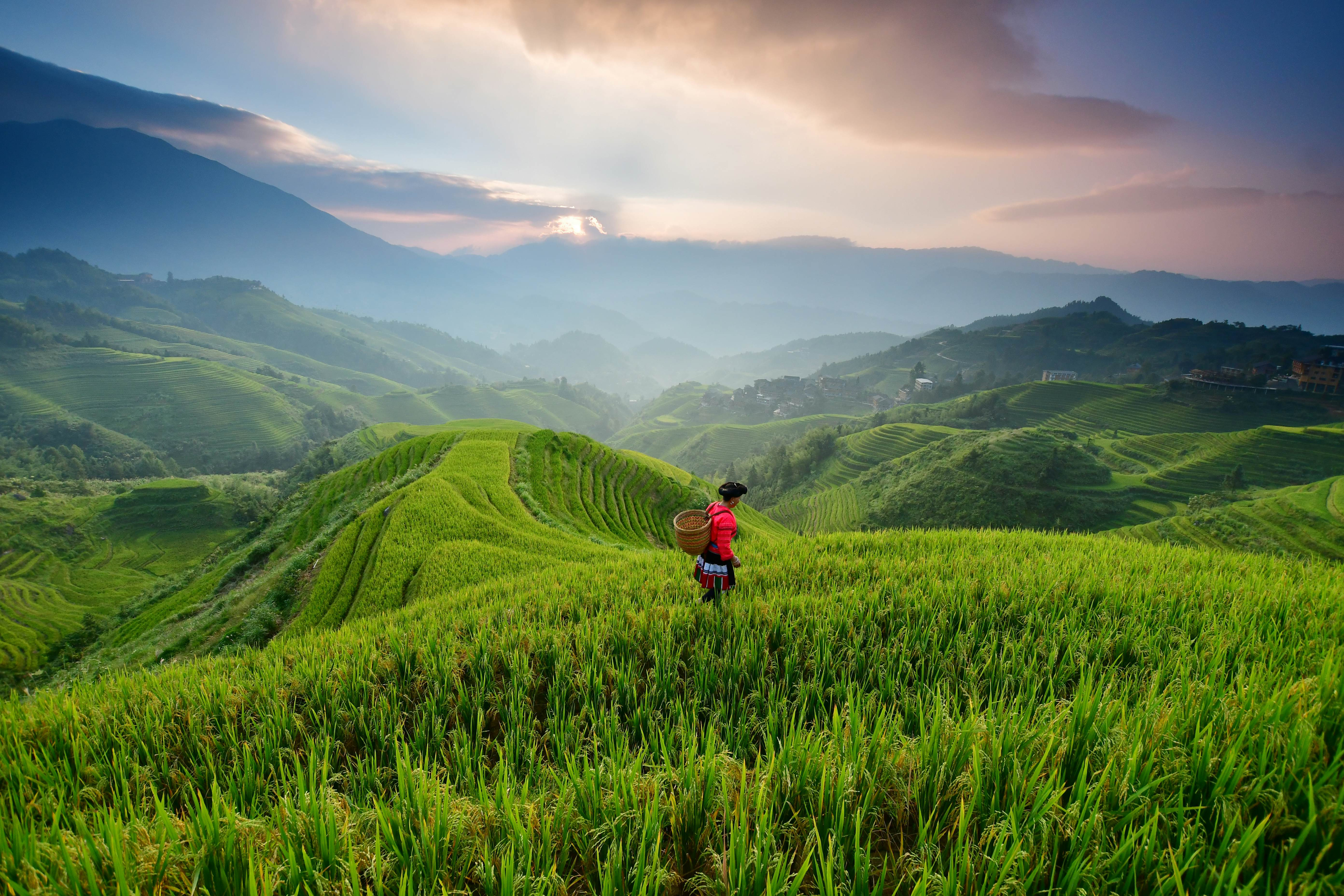 Ruộng bậc thang Longji, Quảng Tây