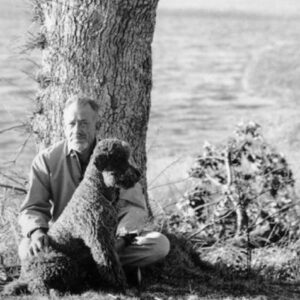 Charley the poodle, John Steinbeck's travel companion in "Travels with Charley," sits beside the author, illustrating their close bond during their cross-country journey.