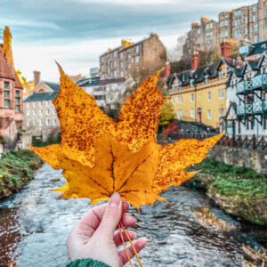 Mùa thu ở Edinburgh với những hàng cây lá vàng