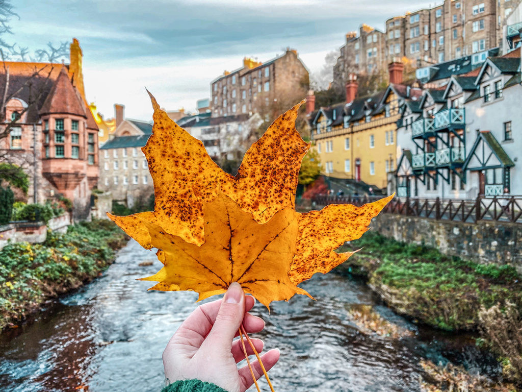 Mùa thu ở Edinburgh với những hàng cây lá vàng