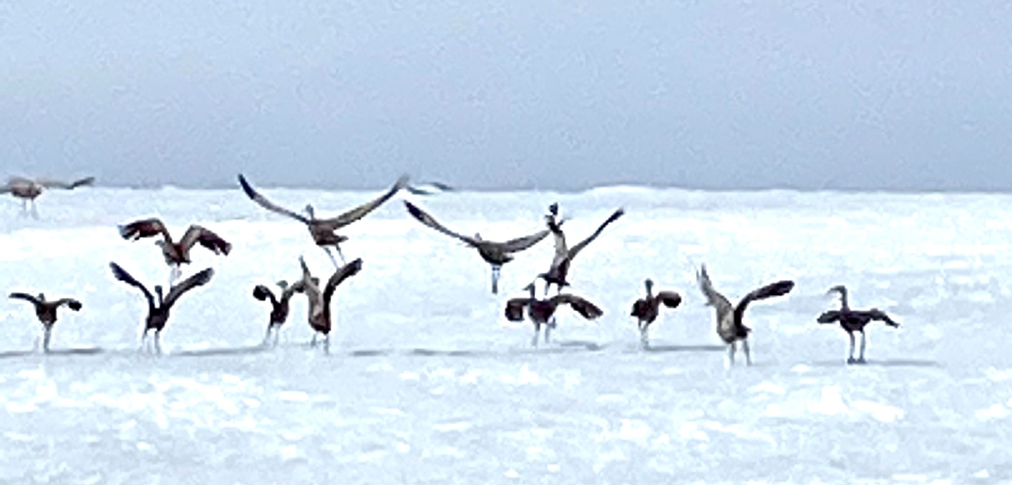 Giao lưu văn hóa với người Inuit giúp du khách hiểu rõ hơn về cuộc sống và truyền thống của họ