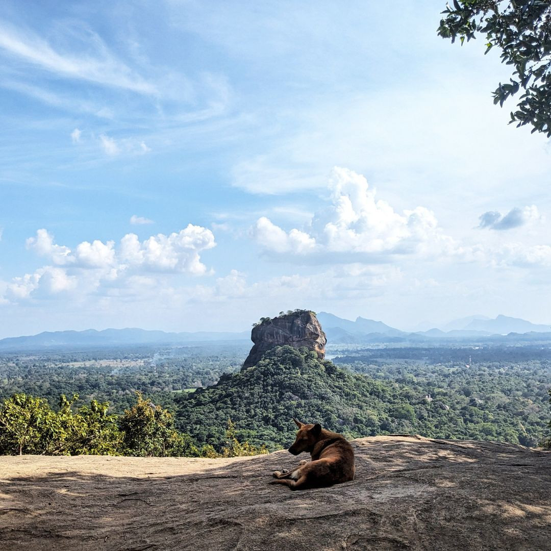 Sri Lanka, một trong những quốc gia tốt nhất để du lịch một mình