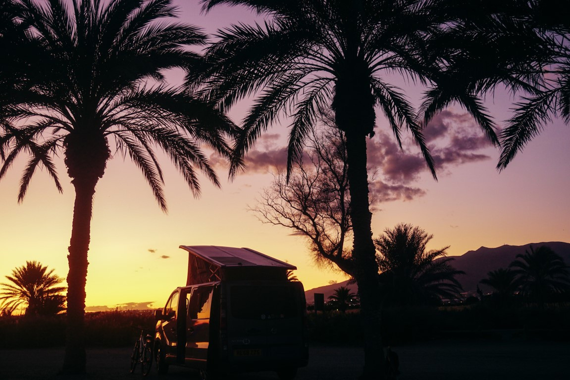 xe travel camper đậu giữa rừng cây xanh
