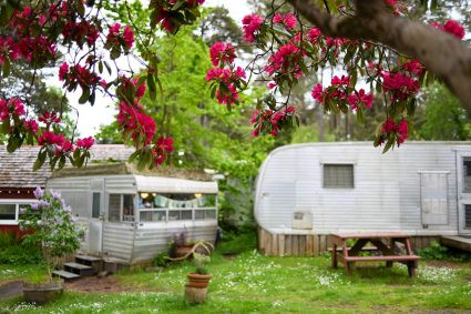 Hình ảnh một chiếc vintage travel trailer cổ điển với thiết kế bo tròn và màu sắc tươi sáng