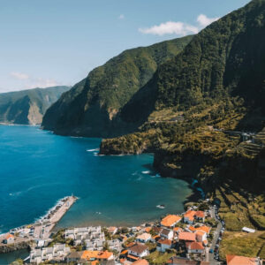 Hình ảnh hoa Bird of Paradise, loài hoa biểu tượng của Madeira, thể hiện vẻ đẹp tự nhiên của hòn đảo.
