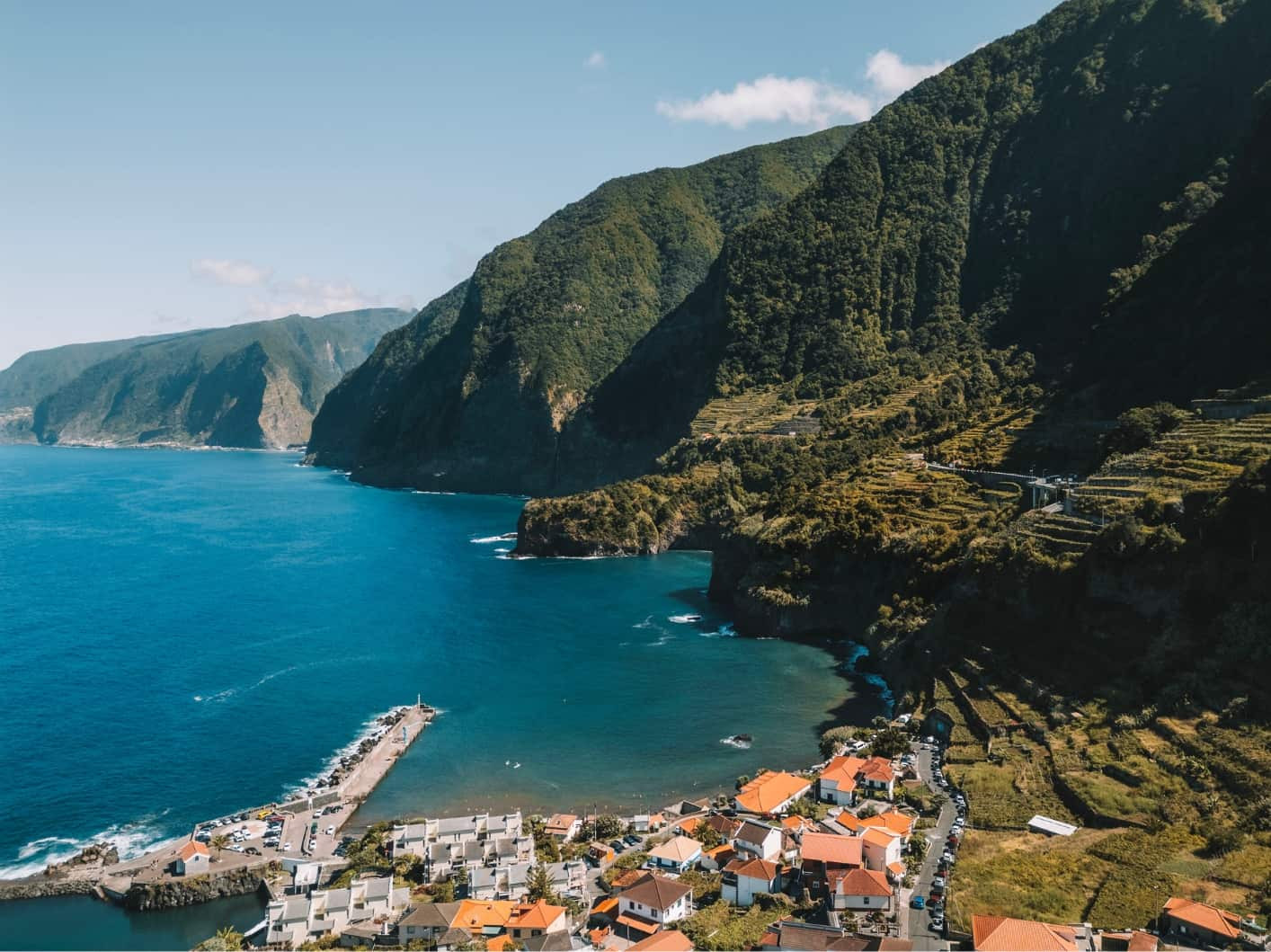 Hình ảnh hoa Bird of Paradise, loài hoa biểu tượng của Madeira, thể hiện vẻ đẹp tự nhiên của hòn đảo.