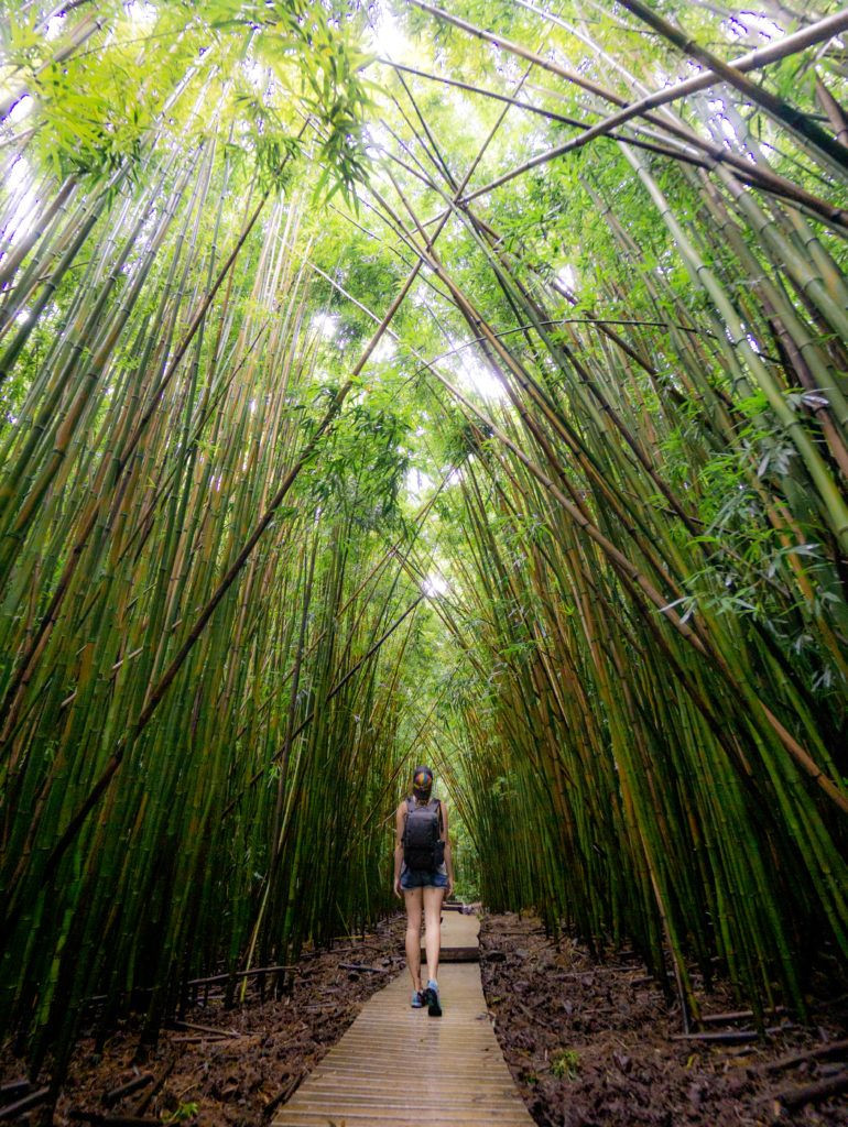 Bãi biển Maui, Hawaii cho chuyến đi một mình
