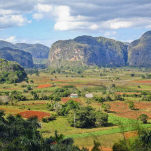 Những ngọn đồi đá vôi ở Valle de Viñales, Cuba, nhô lên trên các trang trại thuốc lá, với những cánh đồng xanh xen kẽ với những mảnh đất màu đỏ
