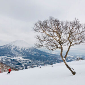 Núi phủ tuyết ở Niseko, Nhật Bản