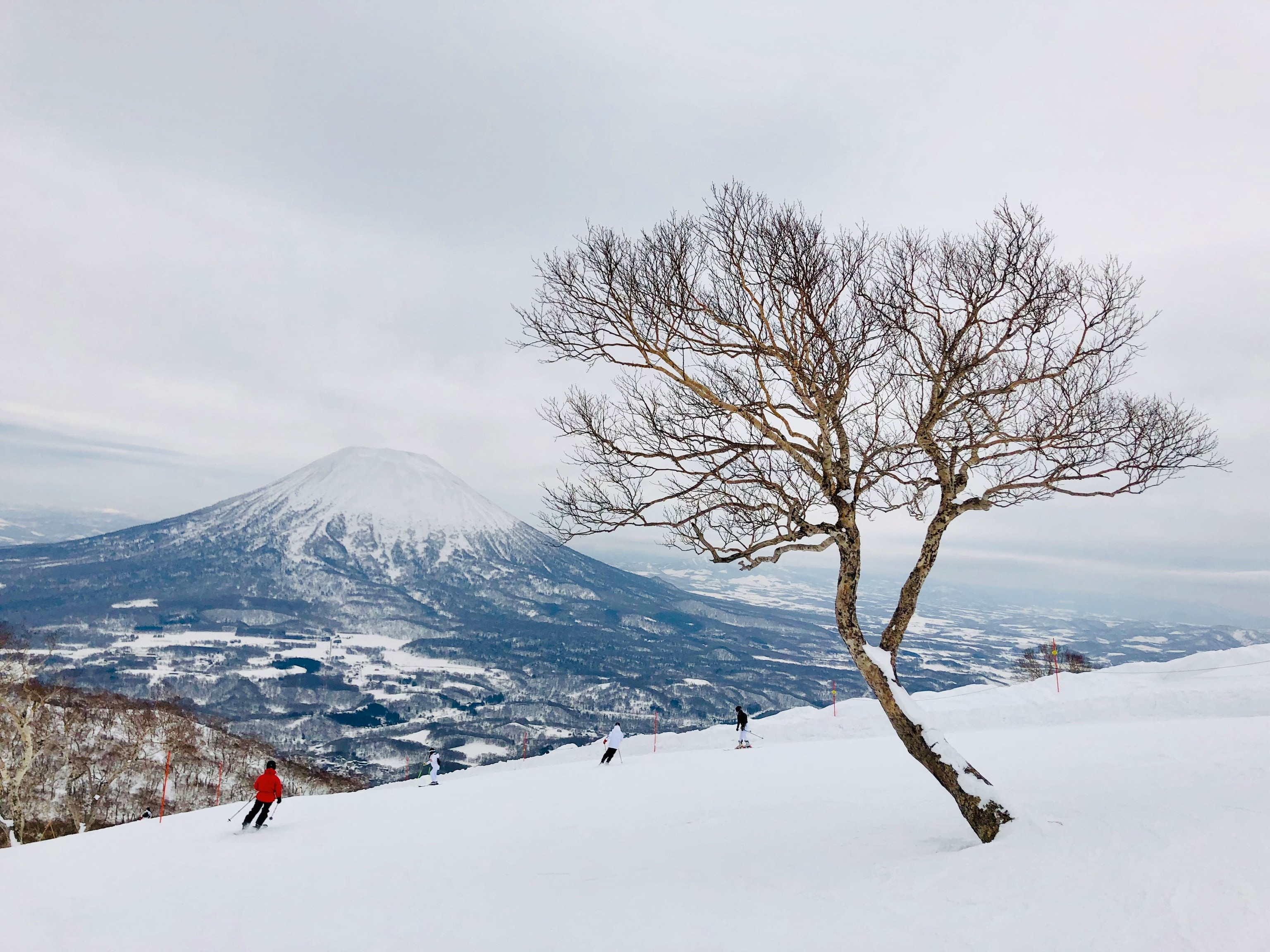 Núi phủ tuyết ở Niseko, Nhật Bản