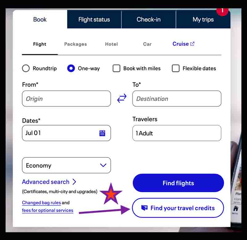 Cách tìm United Airlines travel credit trong tài khoản của bạn