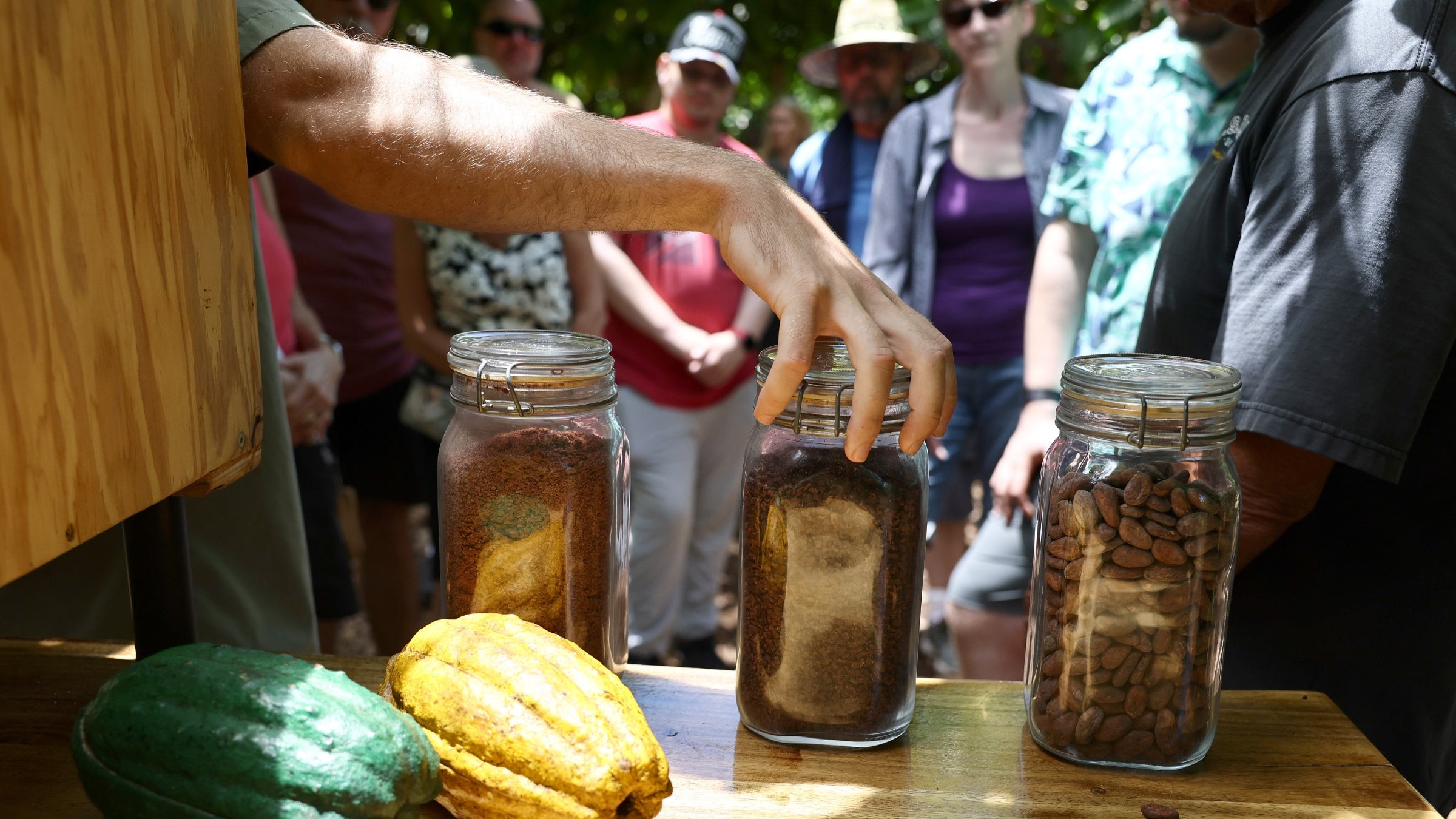 Du khách tham quan trang trại cacao Maui Ku'ia Estate