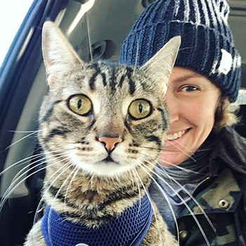 Finn, một chú mèo mướp, đang ngồi trên đùi chủ, mắt mở to.