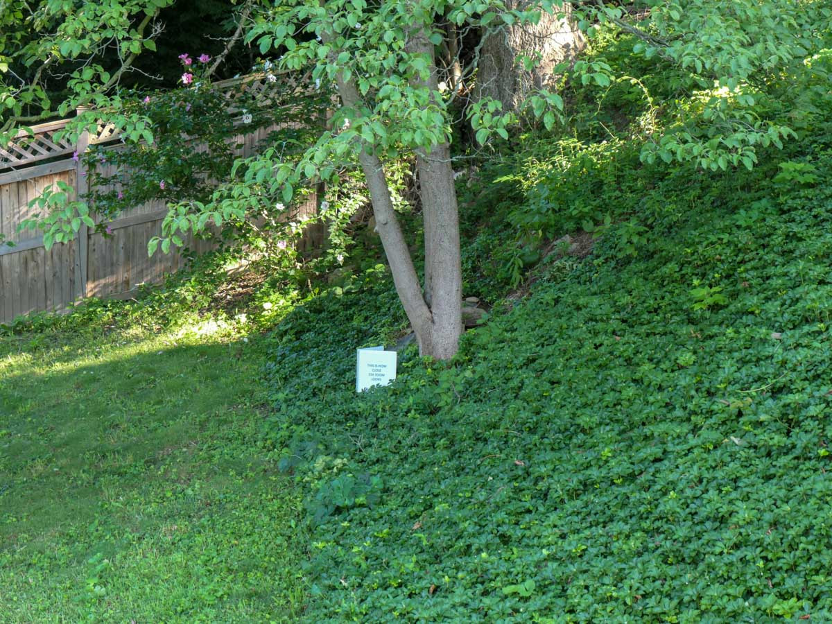 panasonic lumix zs200d photo at 3x zoom