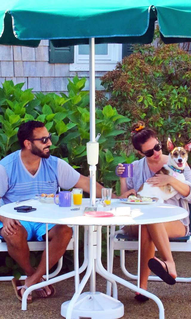 Hình ảnh một chú chó đang tận hưởng kỳ nghỉ tại Cape Cod
