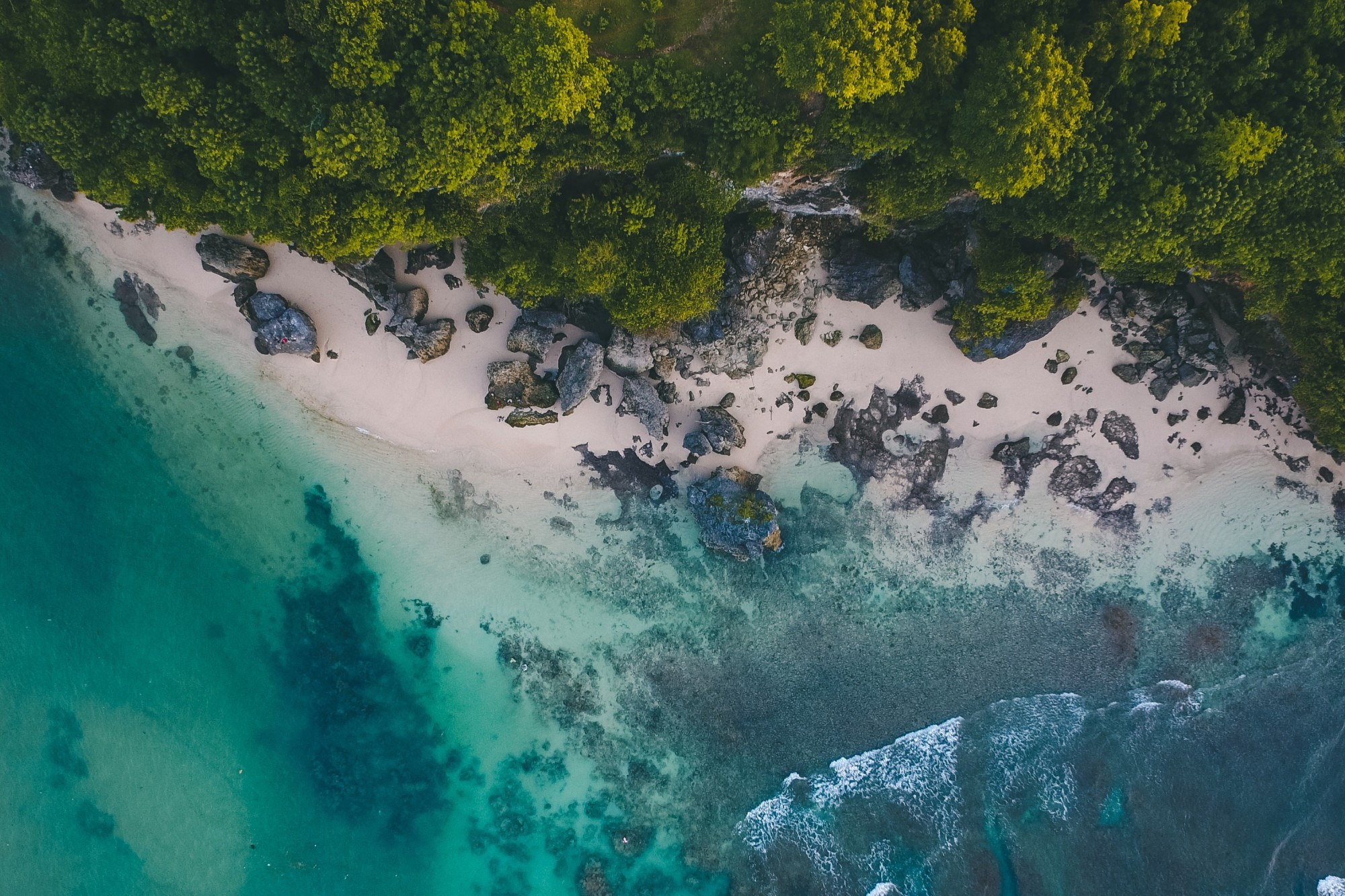Một bãi biển yên bình ở Costa Rica với hàng dừa xanh và biển xanh biếc