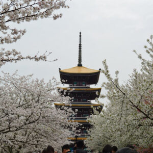 European Travel Tours