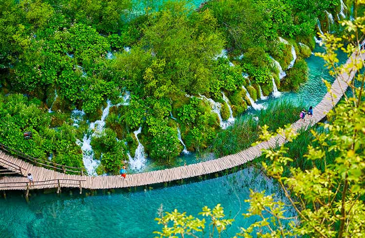 Phố đi bộ trên mặt nước giữa những hàng cây trong Công viên Quốc gia Hồ Plitvice, Croatia