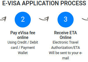 Ảnh chụp màn hình trang web chính thức về e-Visa Ấn Độ