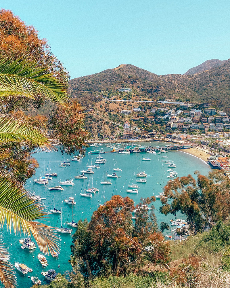 Đường mòn đi bộ Trans-Catalina Trail