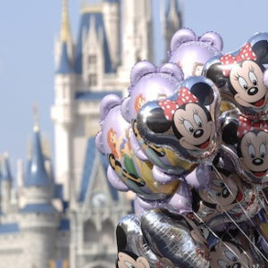 Disneyworld Travel Agent Tiết Kiệm Thời Gian